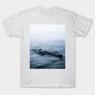 Humpback whale in the minimalist fog - photographing animals T-Shirt